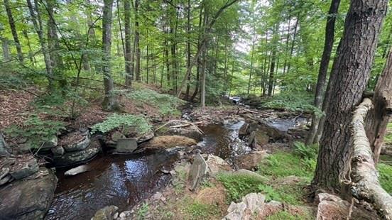 #3 photo, 20 Airport Road, Eldred , NY 12732