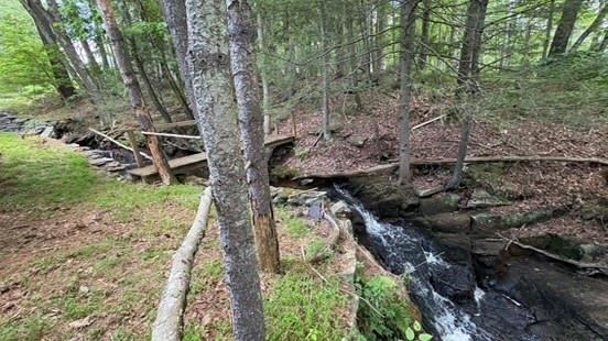 #4 photo, 20 Airport Road, Eldred , NY 12732