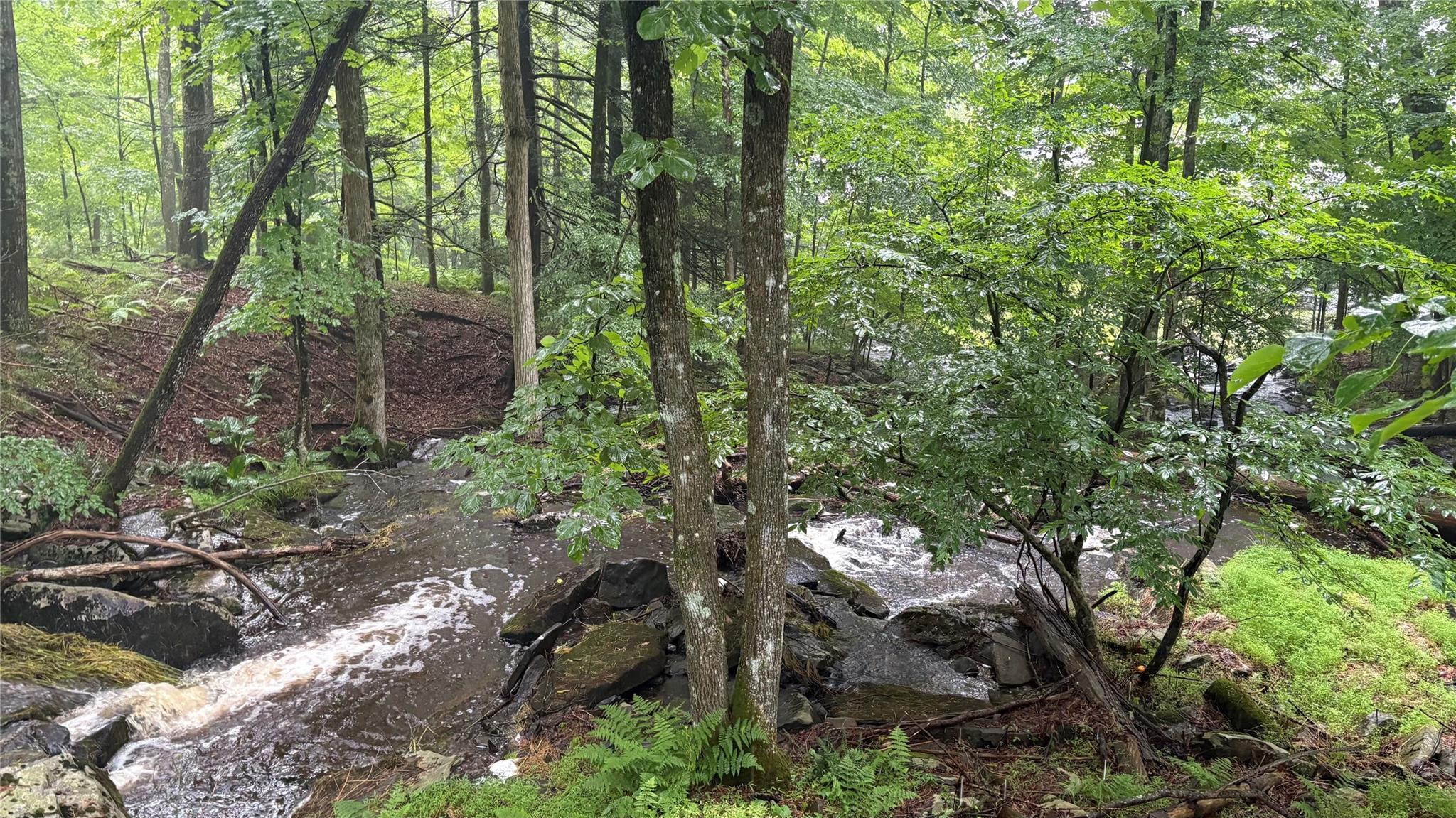 #9 photo, 20 Airport Road, Eldred , NY 12732