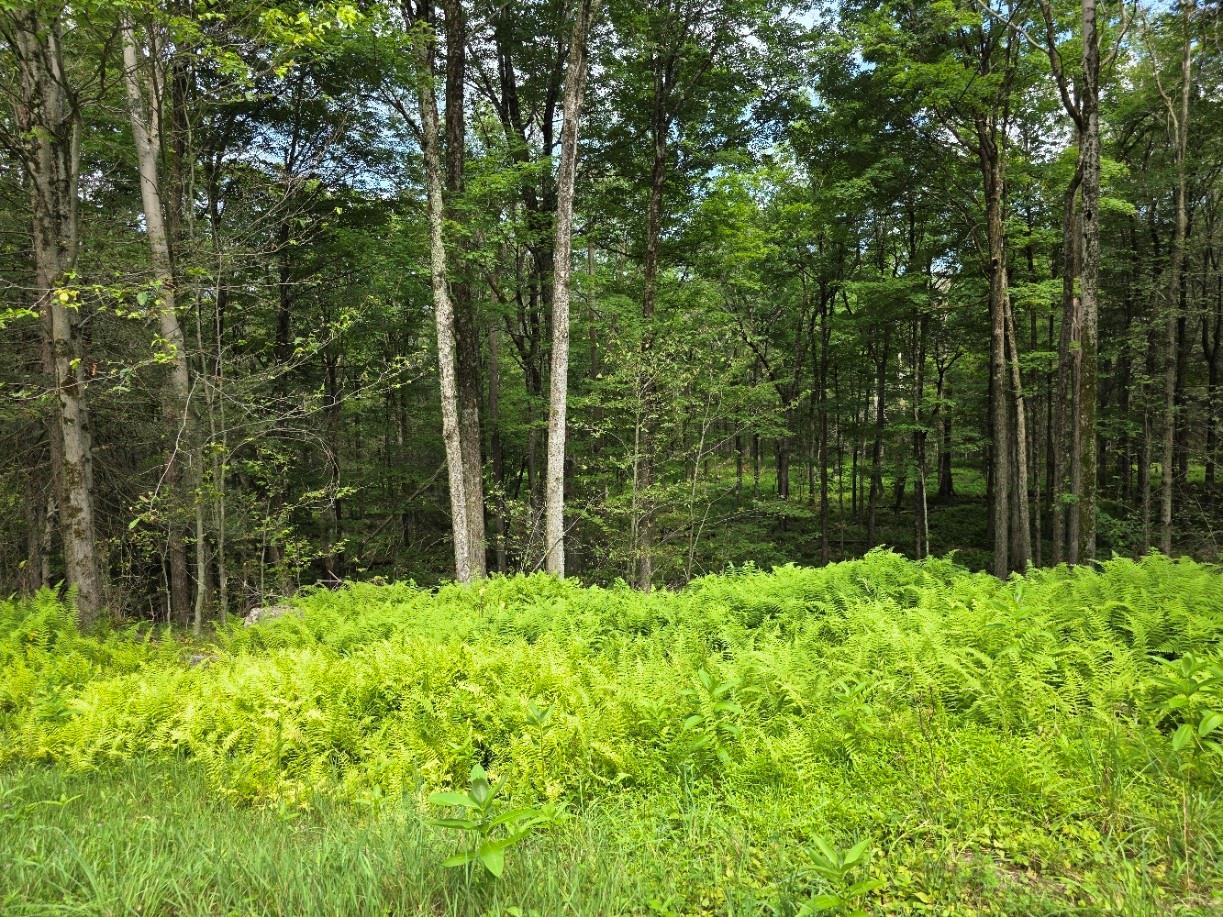 #1 photo, Gregory Road, Monticello , NY 12701