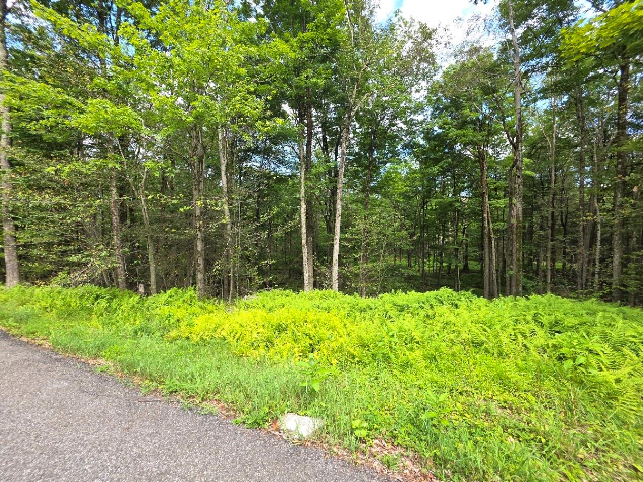 #2 photo, Gregory Road, Monticello , NY 12701