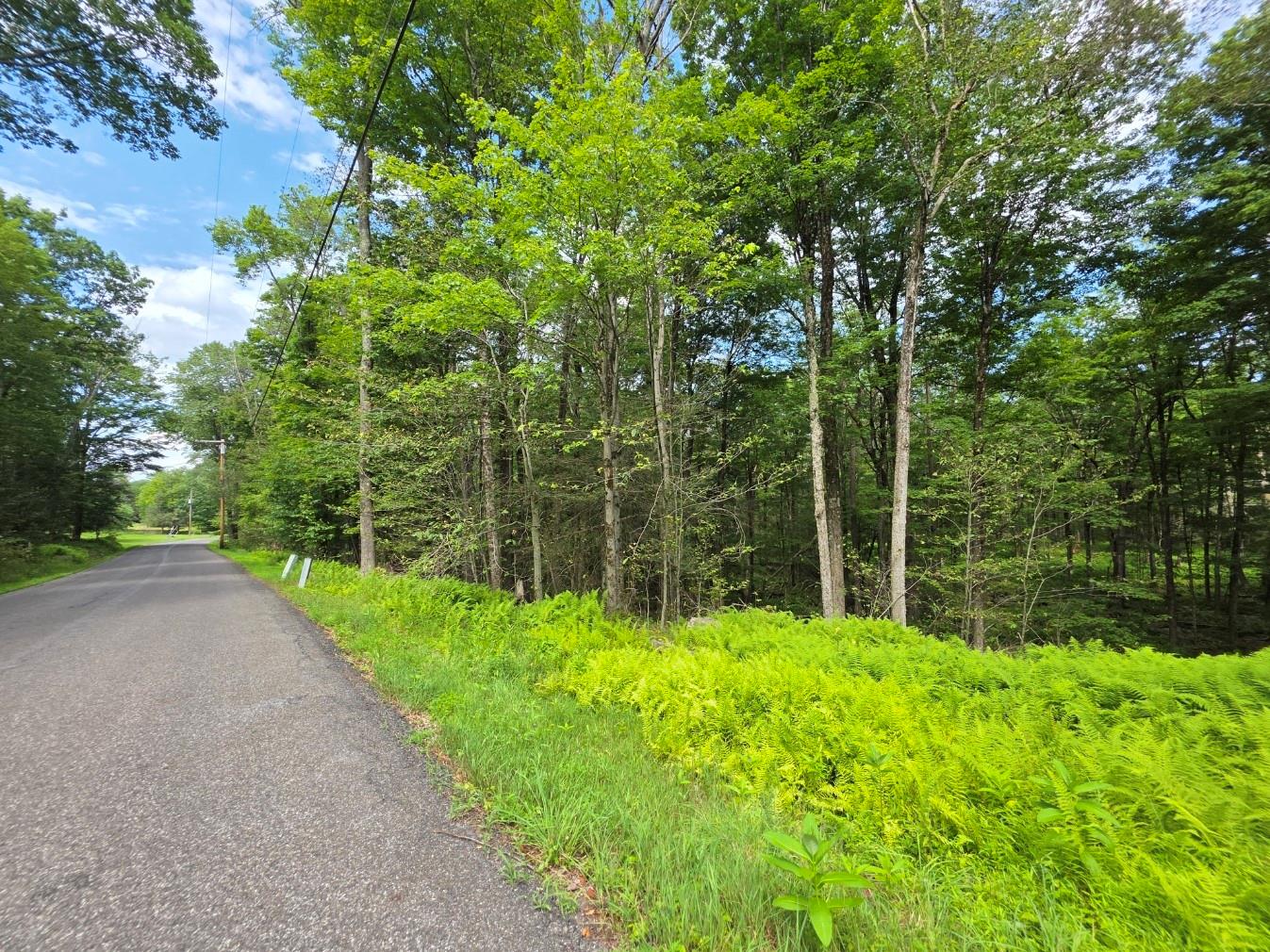 #3 photo, Gregory Road, Monticello , NY 12701