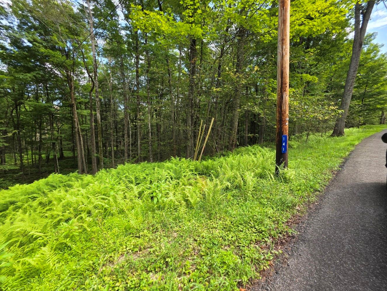 #4 photo, Gregory Road, Monticello , NY 12701