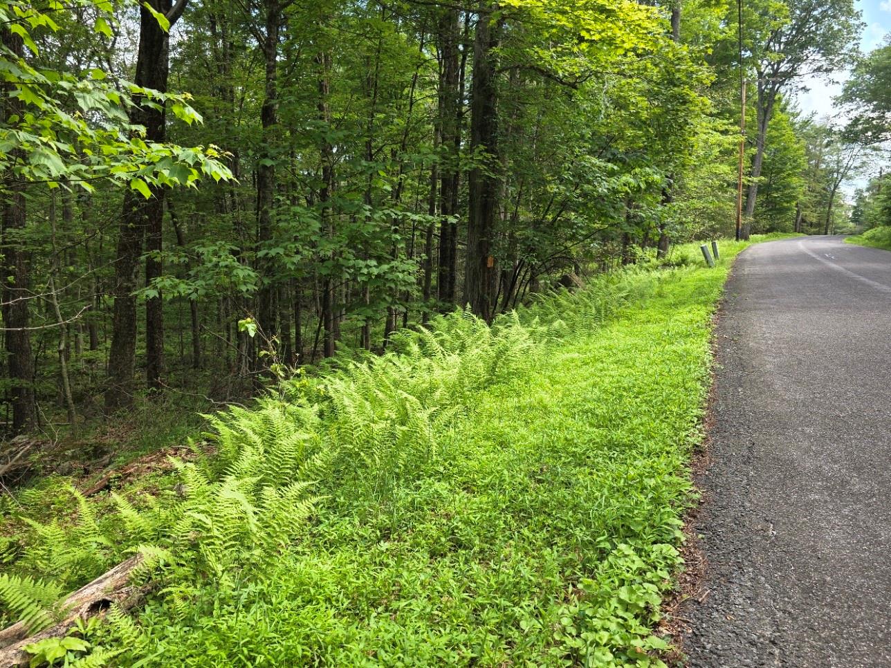 #6 photo, Gregory Road, Monticello , NY 12701