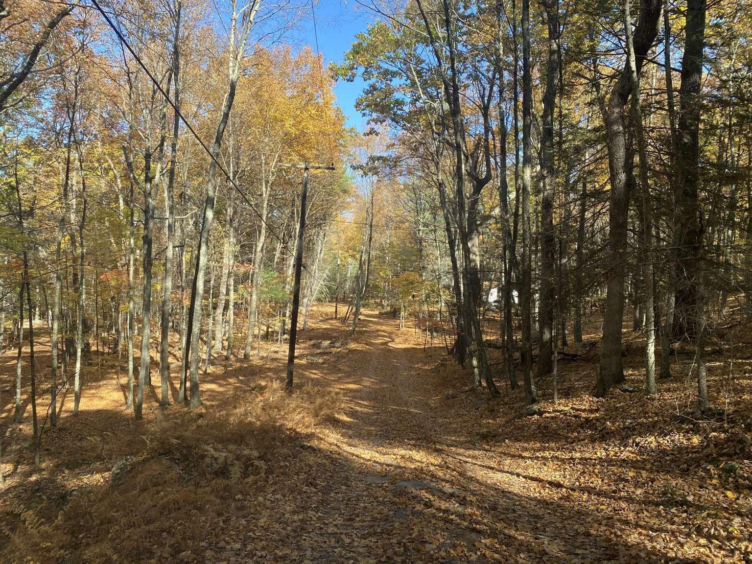 #19 photo, 3 Perry Road, Barryville , NY 12719