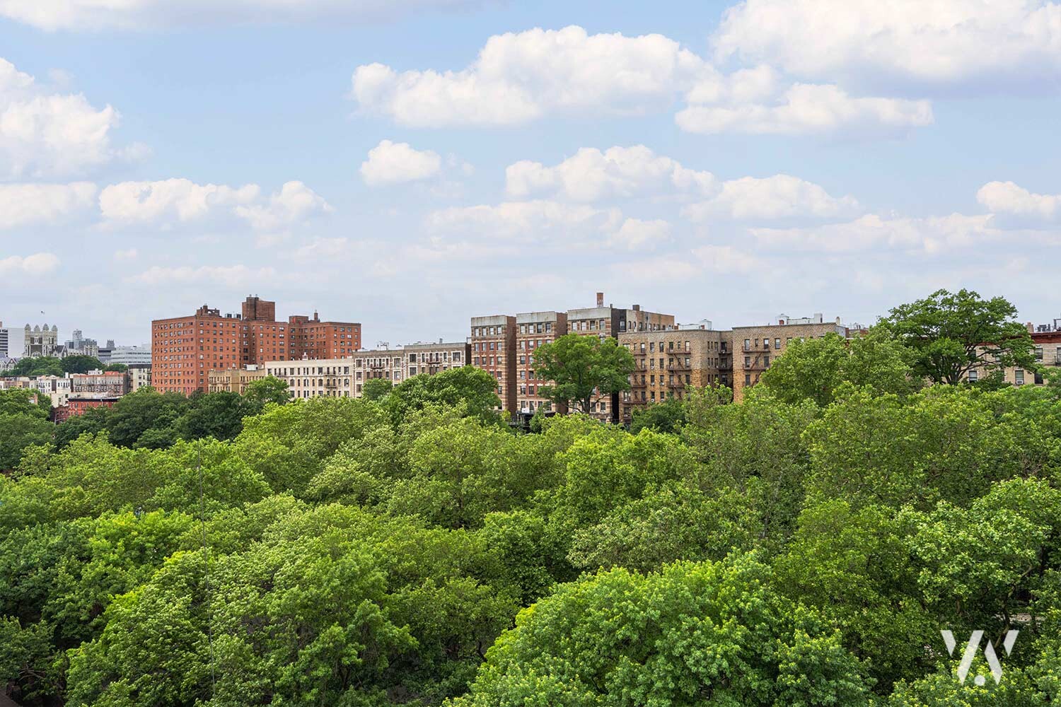 #5 photo, 130 BRADHURST Avenue, マンハッタン Central Harlem , NY 10039