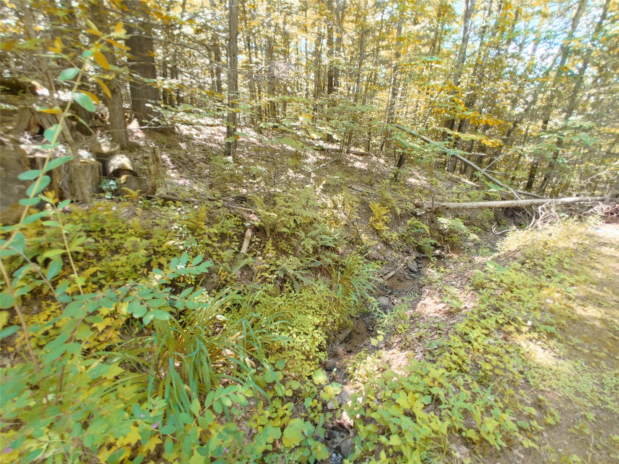 #11 photo, 249 High Street, Phoenicia , NY 12464