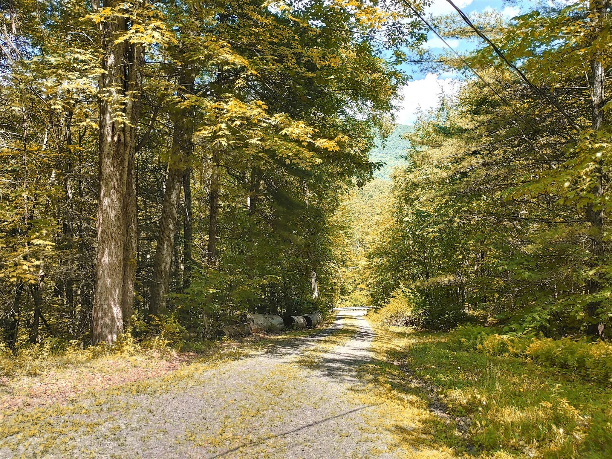 #7 photo, 249 High Street, Phoenicia , NY 12464