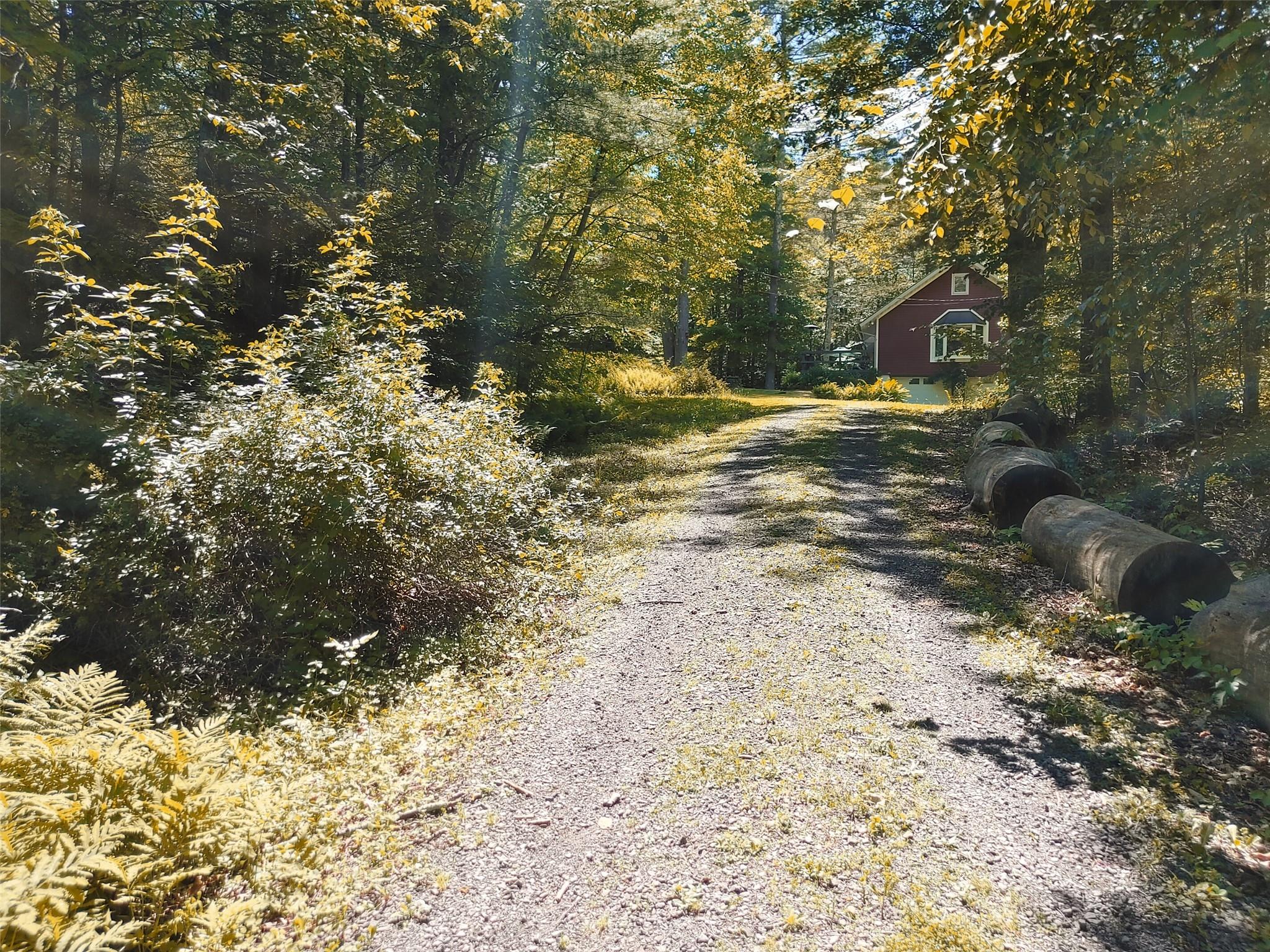 #8 photo, 249 High Street, Phoenicia , NY 12464