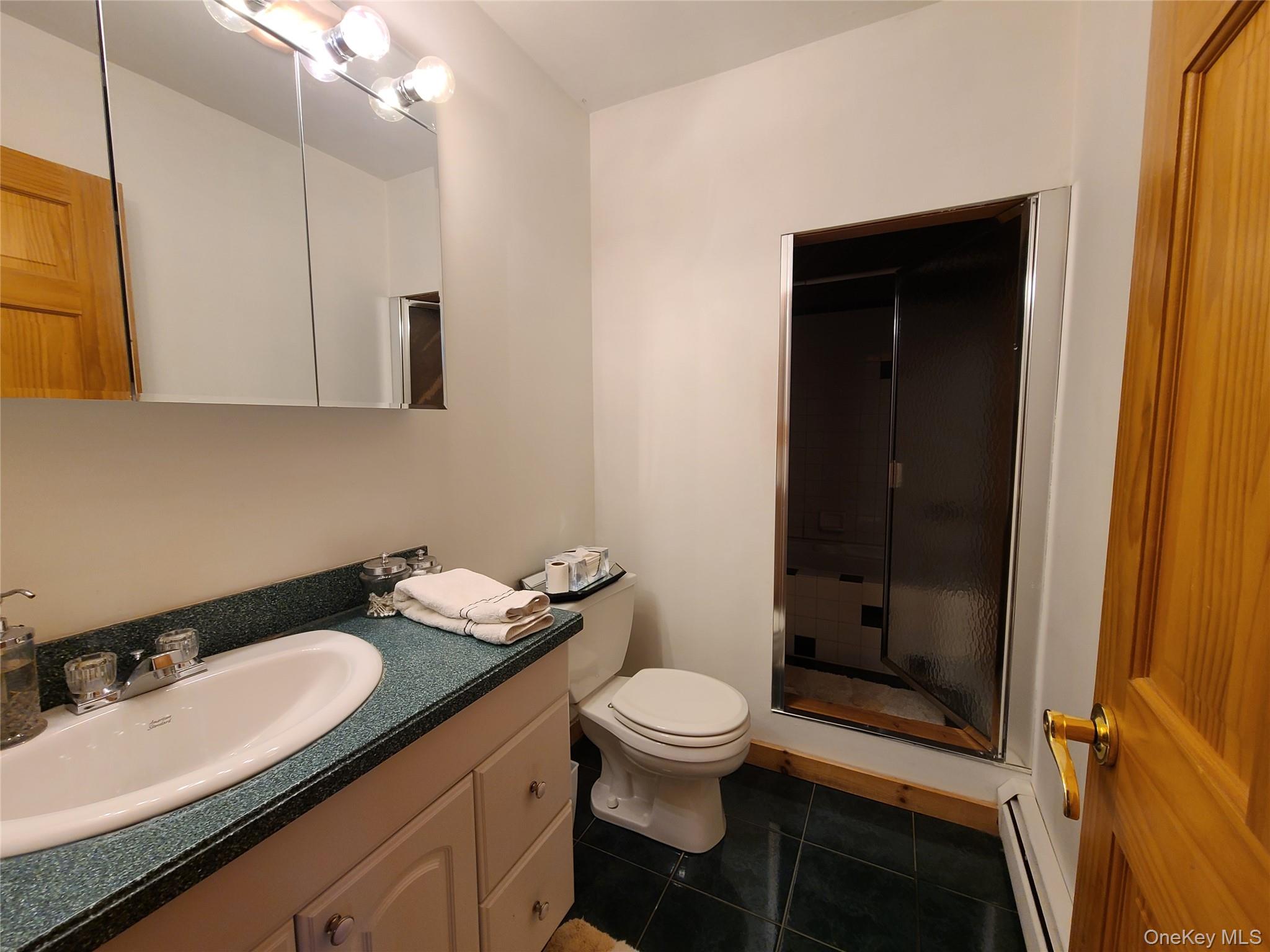 #19 photo, 282 W Shore Road, Swan Lake , NY 12783