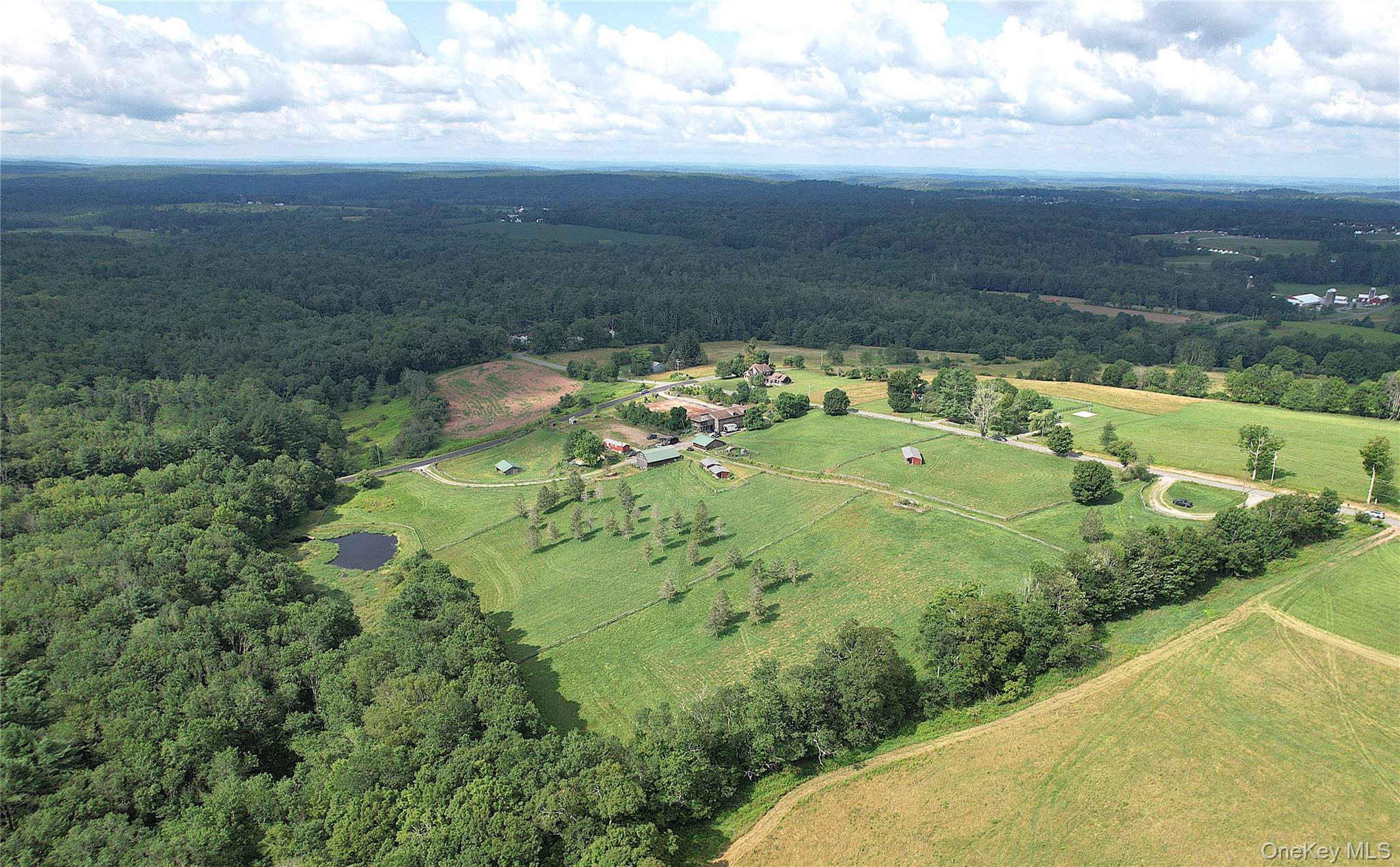 #2 photo, 282 W Shore Road, Swan Lake , NY 12783