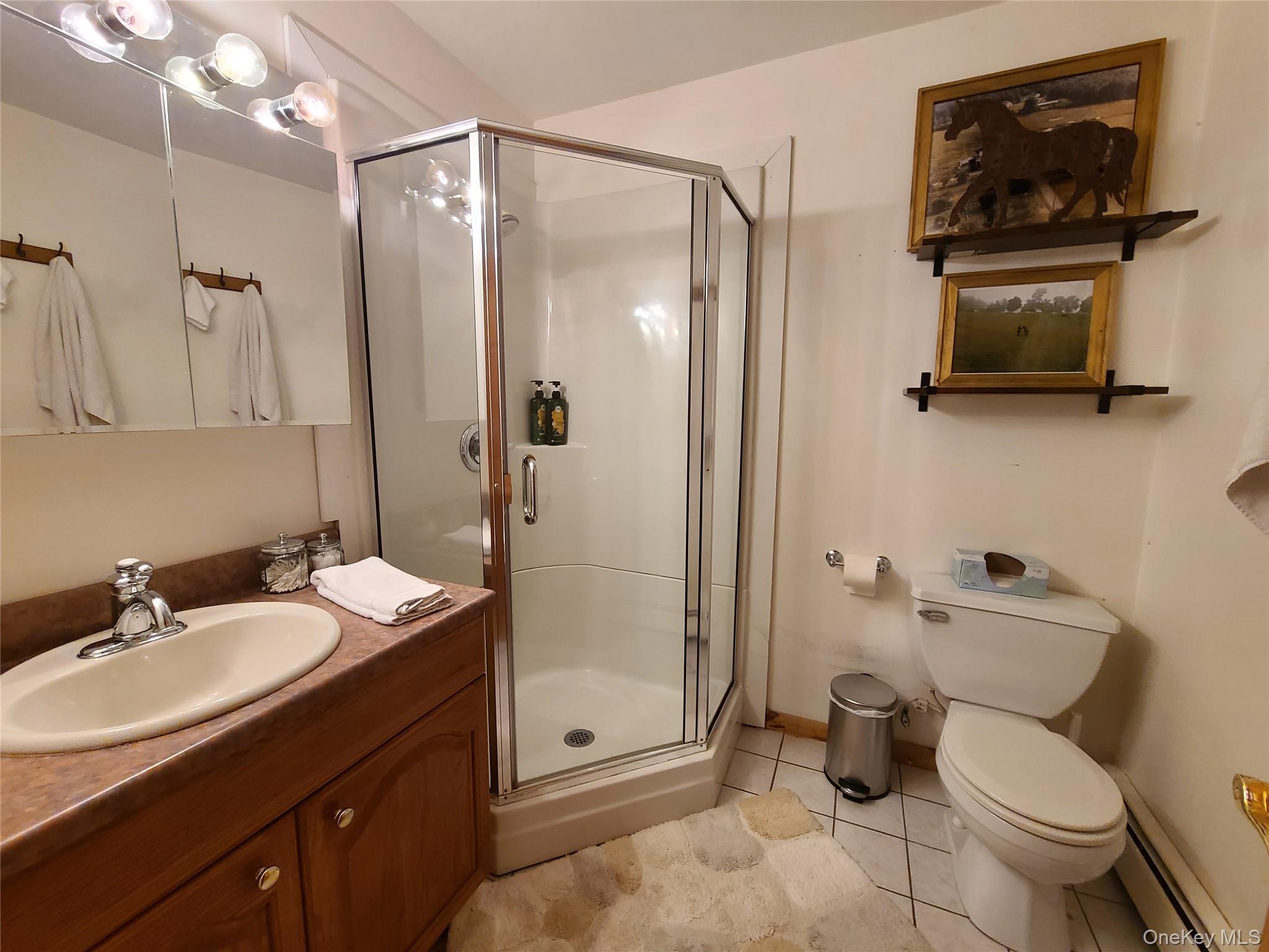 #20 photo, 282 W Shore Road, Swan Lake , NY 12783