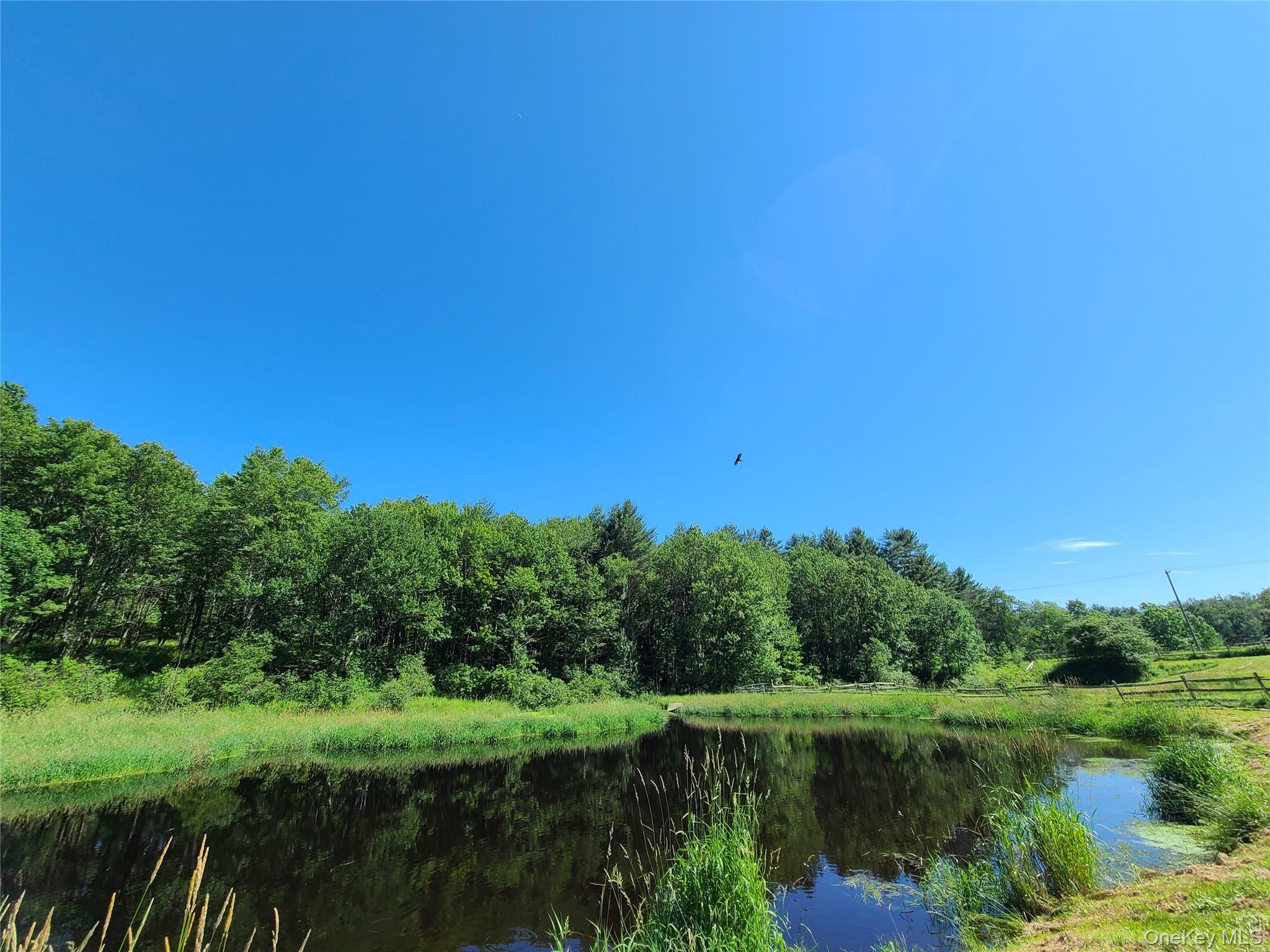 #7 photo, 282 W Shore Road, Swan Lake , NY 12783