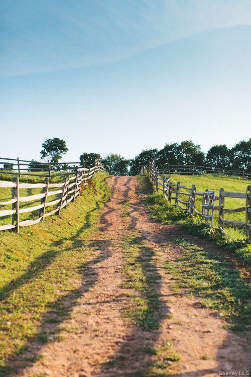 #9 photo, 282 W Shore Road, Swan Lake , NY 12783