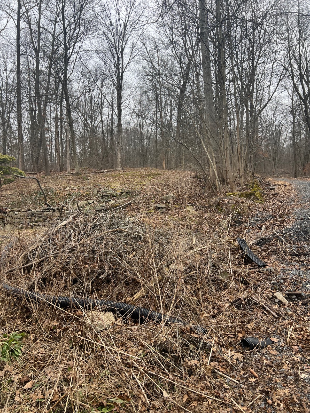 #10 photo, 49 HILLTOP DRIVE, MONROE , NY 10952