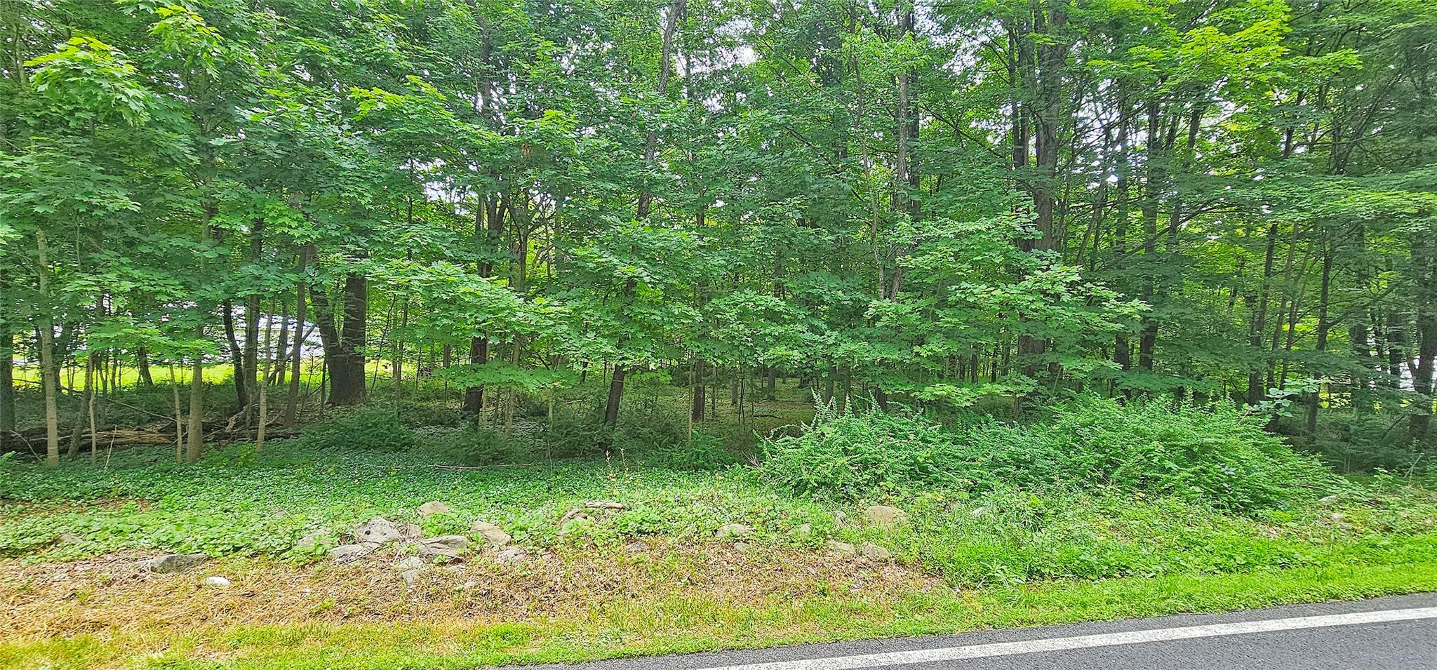 #1 photo, South Plank Road, Westtown , NY 10998