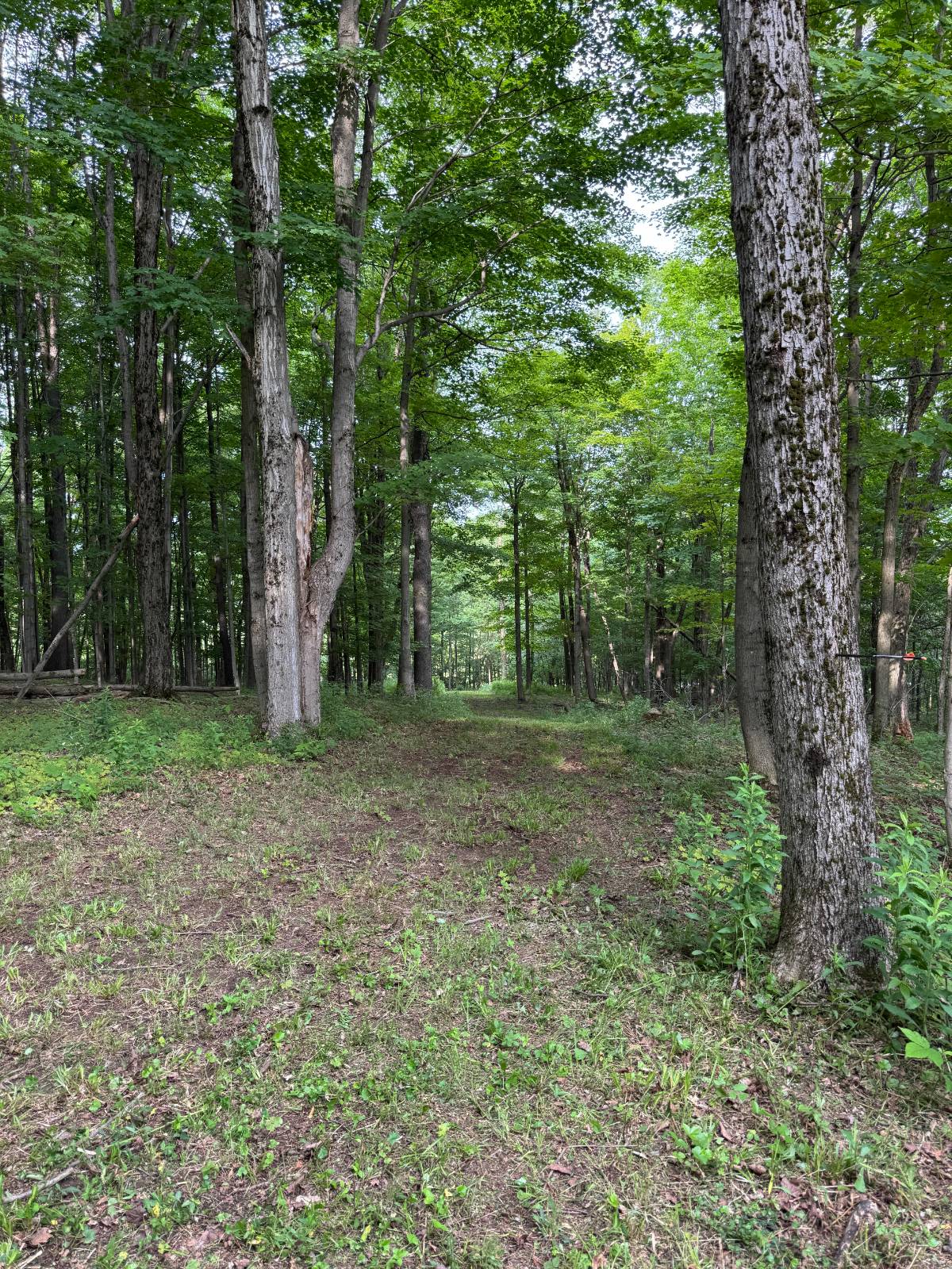 #10 photo, 2949 Leach Rd, Eaton , NY 13334