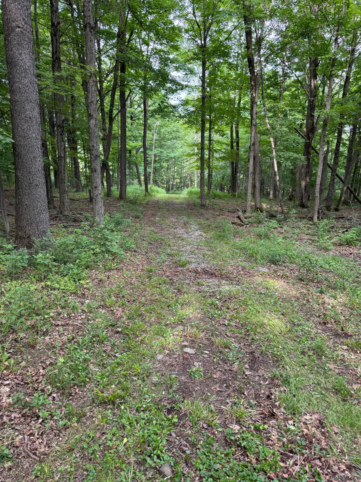 #11 photo, 2949 Leach Rd, Eaton , NY 13334