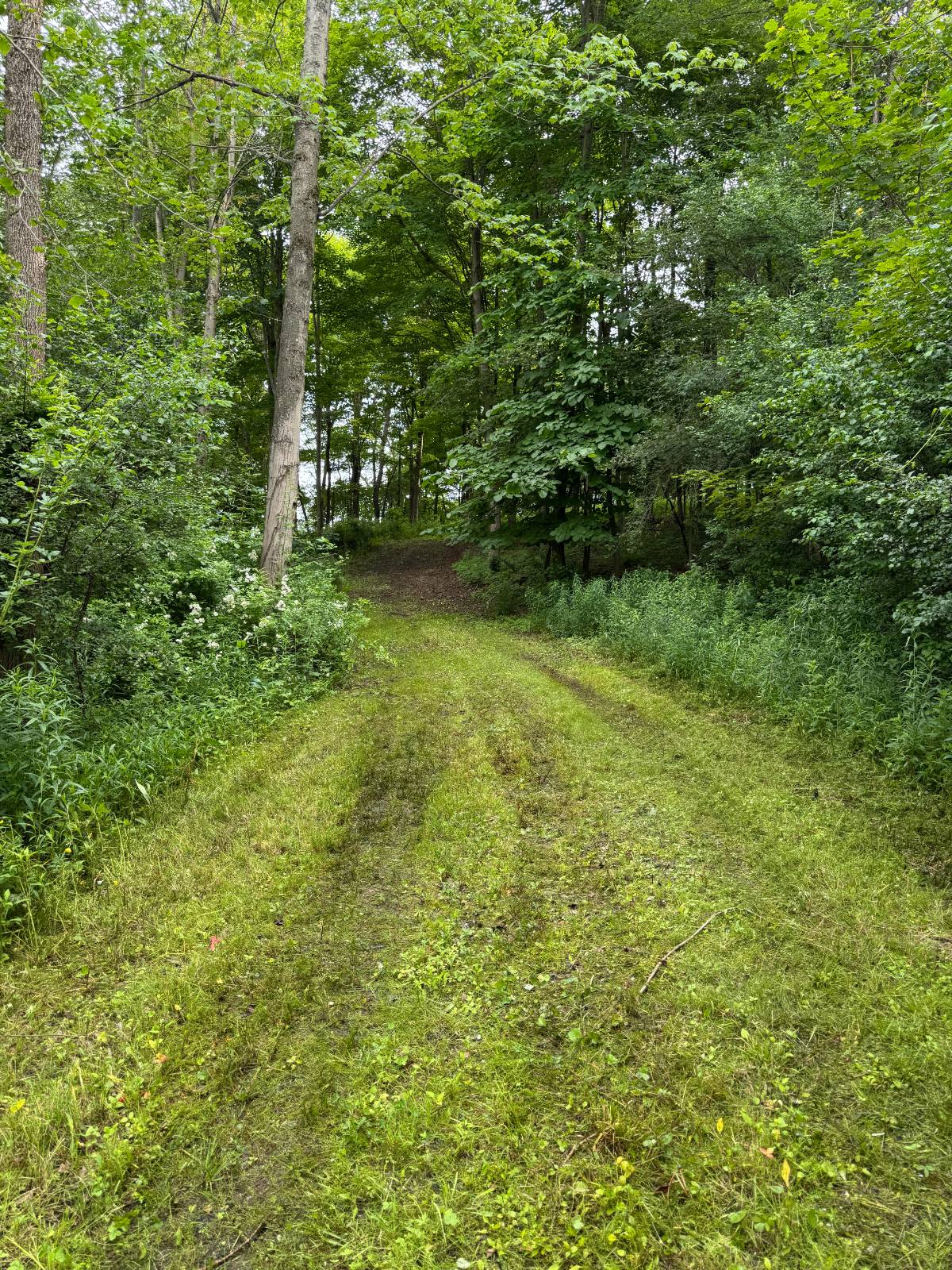 #12 photo, 2949 Leach Rd, Eaton , NY 13334