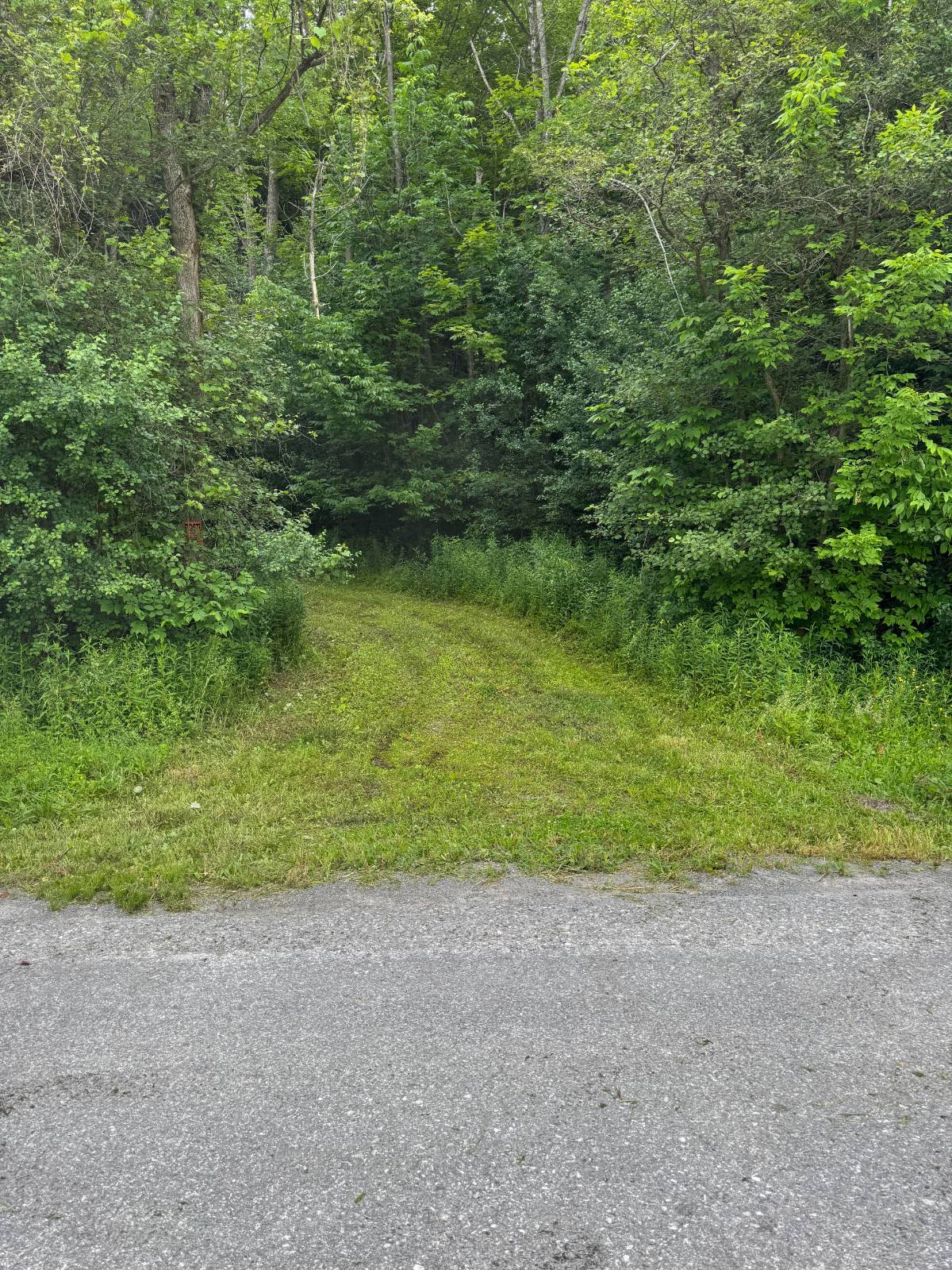 #13 photo, 2949 Leach Rd, Eaton , NY 13334