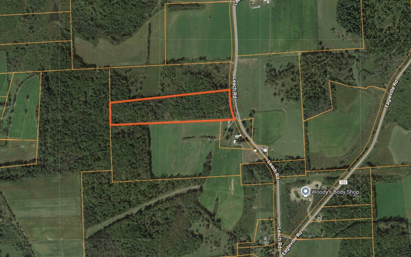 #16 photo, 2949 Leach Rd, Eaton , NY 13334