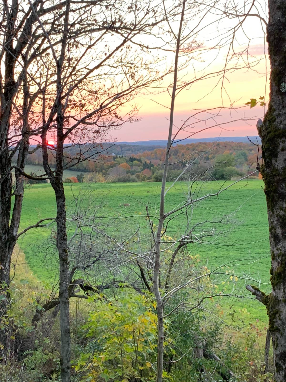 #3 photo, 2949 Leach Rd, Eaton , NY 13334