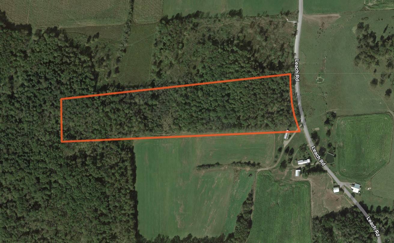 #5 photo, 2949 Leach Rd, Eaton , NY 13334