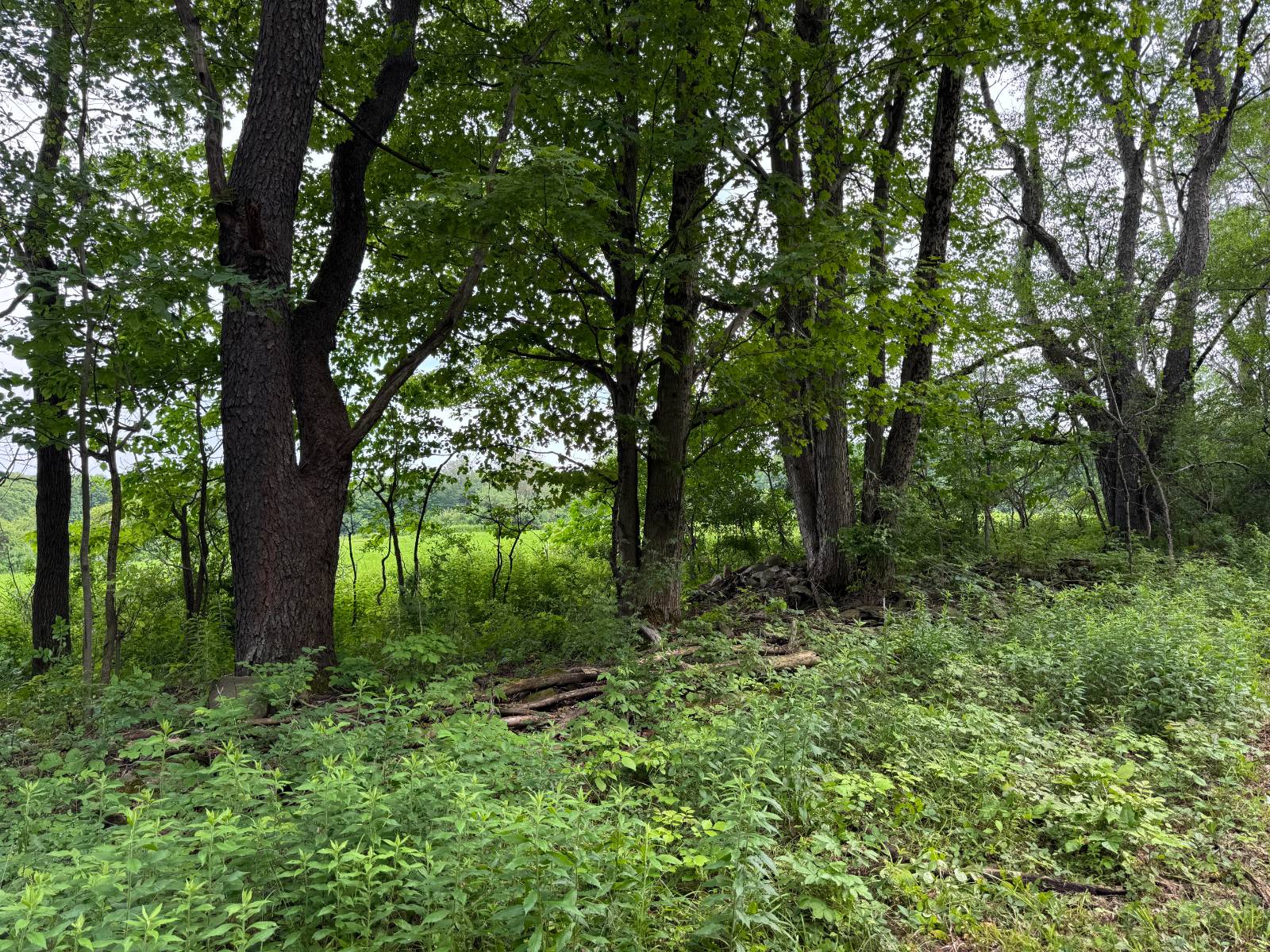 #7 photo, 2949 Leach Rd, Eaton , NY 13334