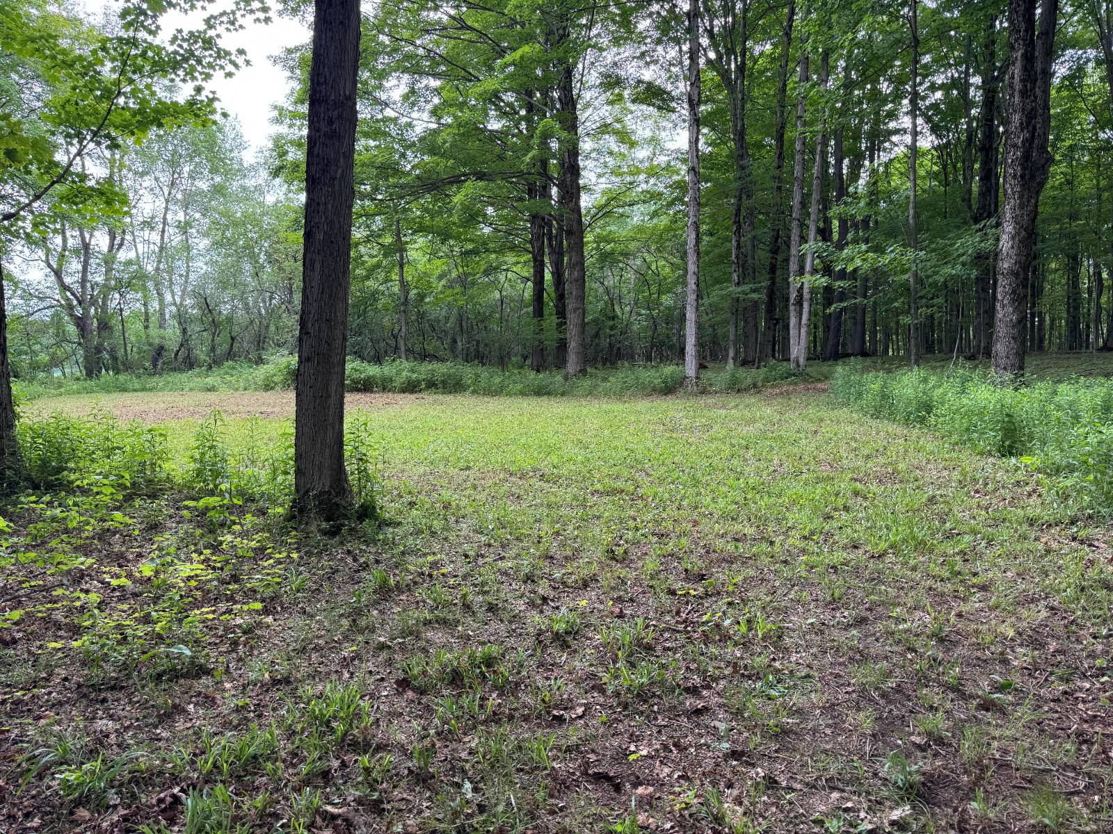 #9 photo, 2949 Leach Rd, Eaton , NY 13334