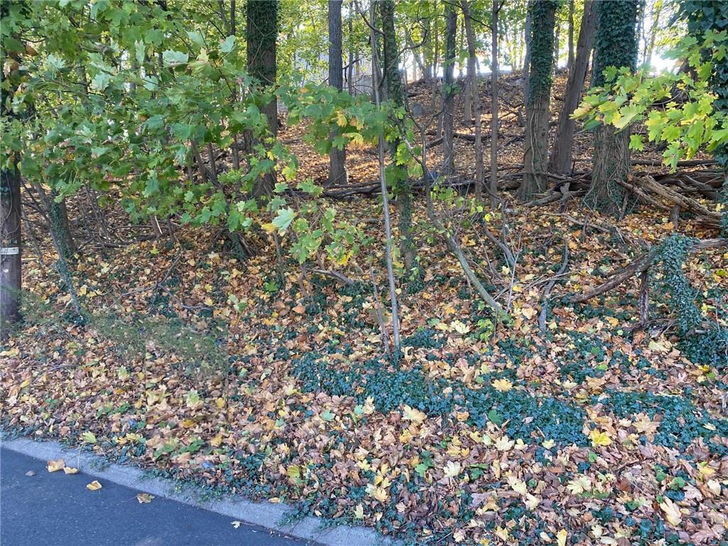 #3 photo, Ashford Avenue, Dobbs Ferry , NY 10522