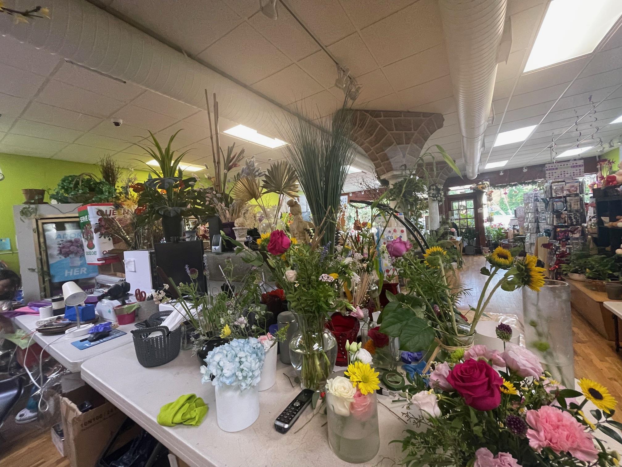 #7 photo, Huntington, サフォーク郡 Huntington , NY 11743