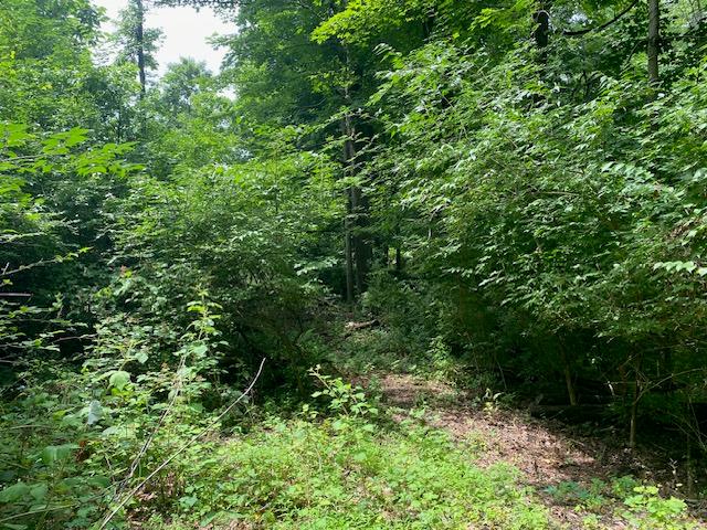 #8 photo, 24 Devito Drive, Newburgh , NY 12550