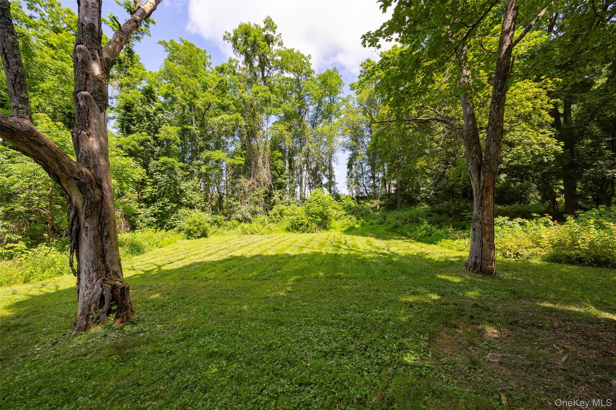 #5 photo, 15 Johnson Lane, Millbrook , NY 12545