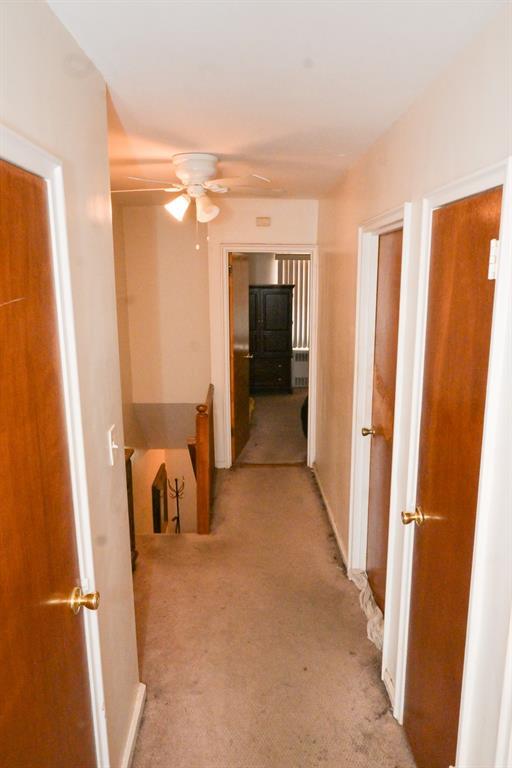 #7 photo, 3331 Hone Avenue, ブロンクス区 Bronx , NY 10469