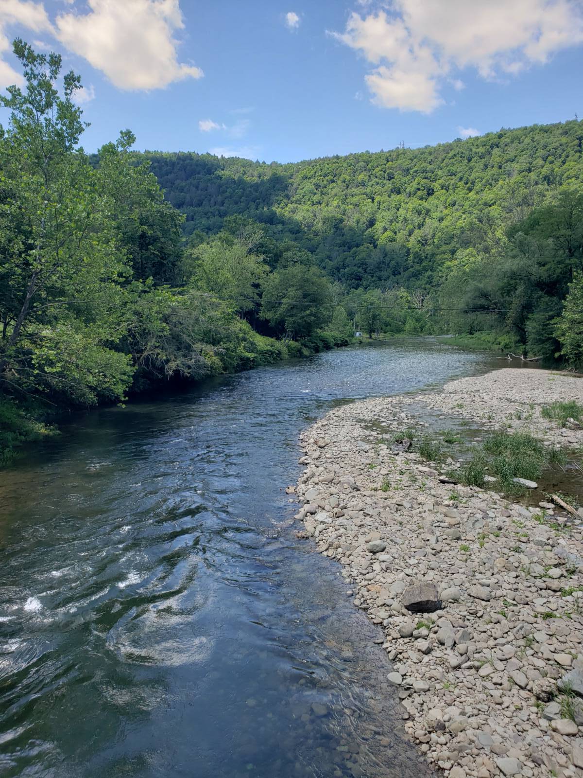 #12 photo, 6964 River Road, Downsville , NY 13755