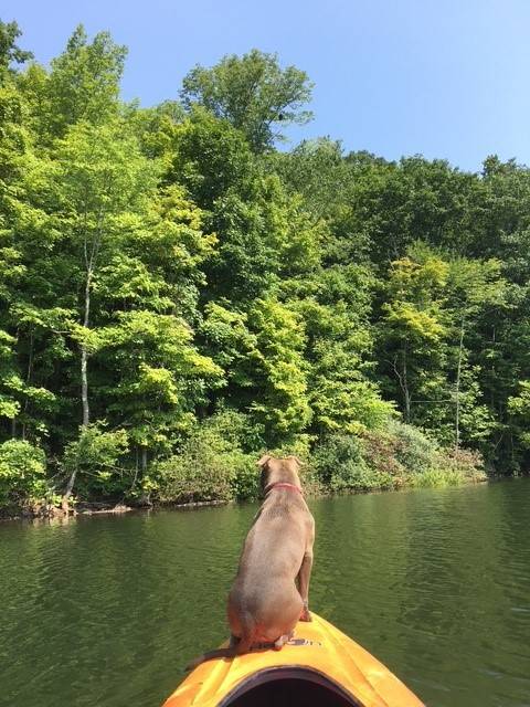 #22 photo, 6964 River Road, Downsville , NY 13755