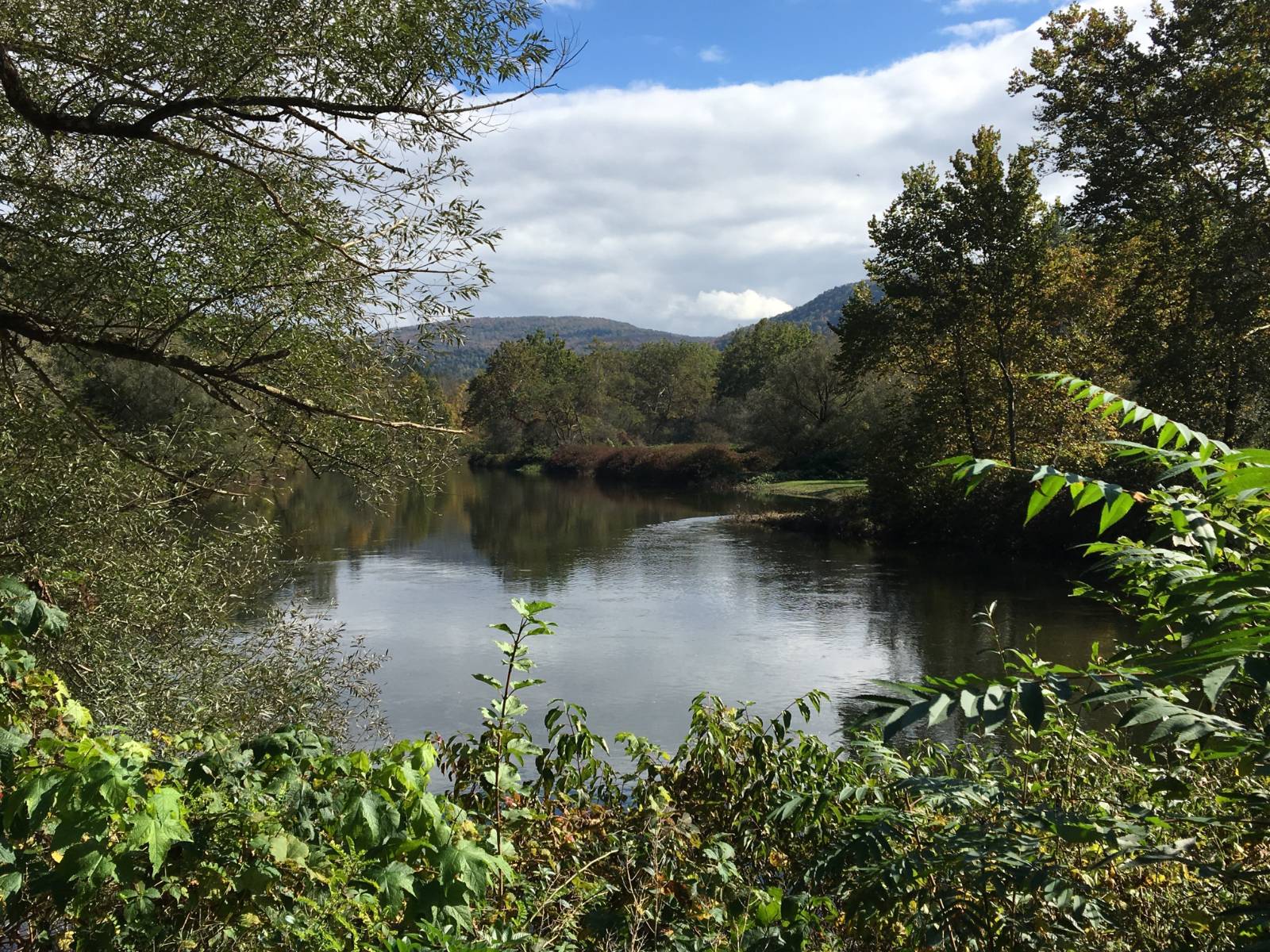 #25 photo, 6964 River Road, Downsville , NY 13755