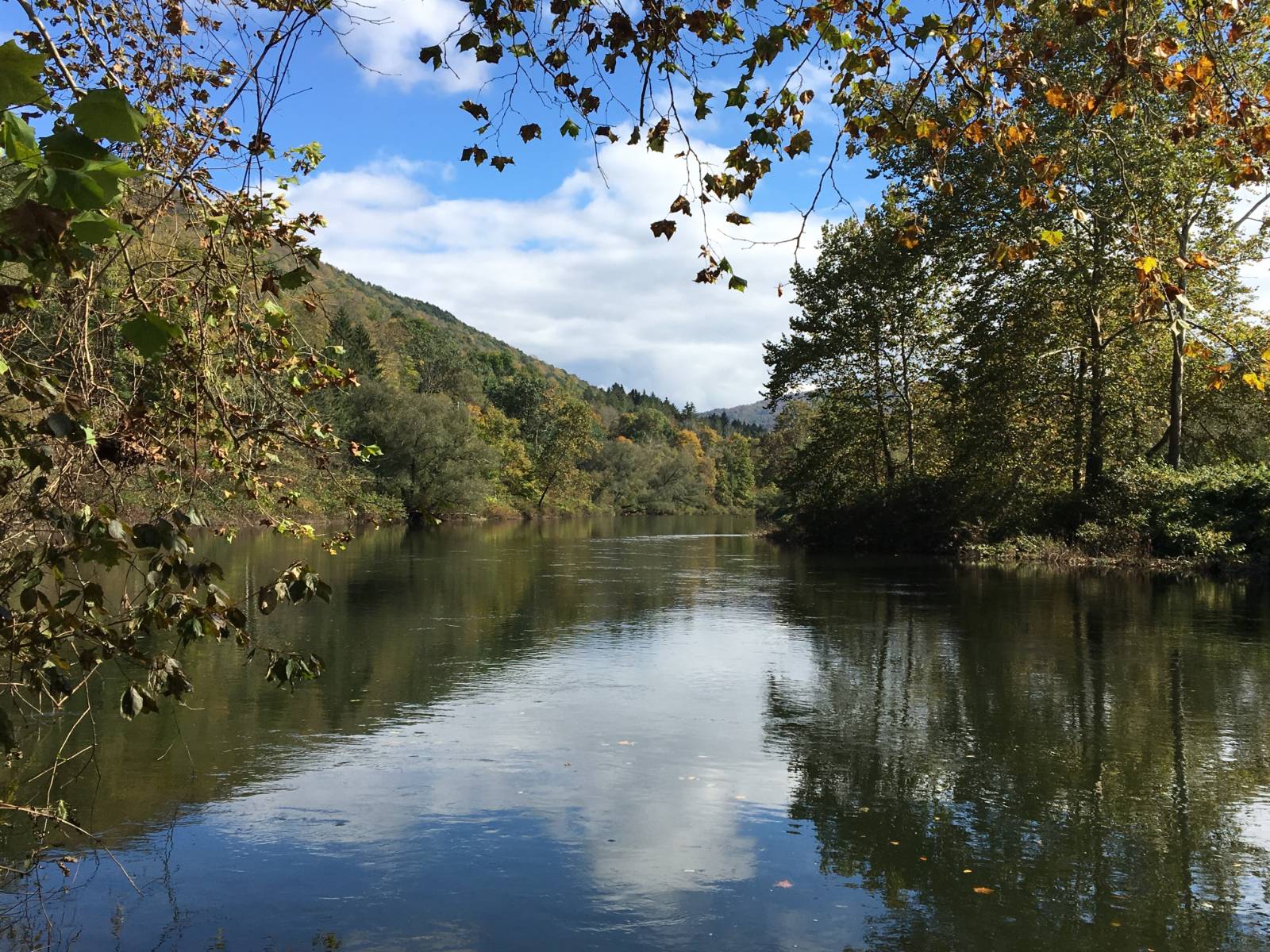 #26 photo, 6964 River Road, Downsville , NY 13755