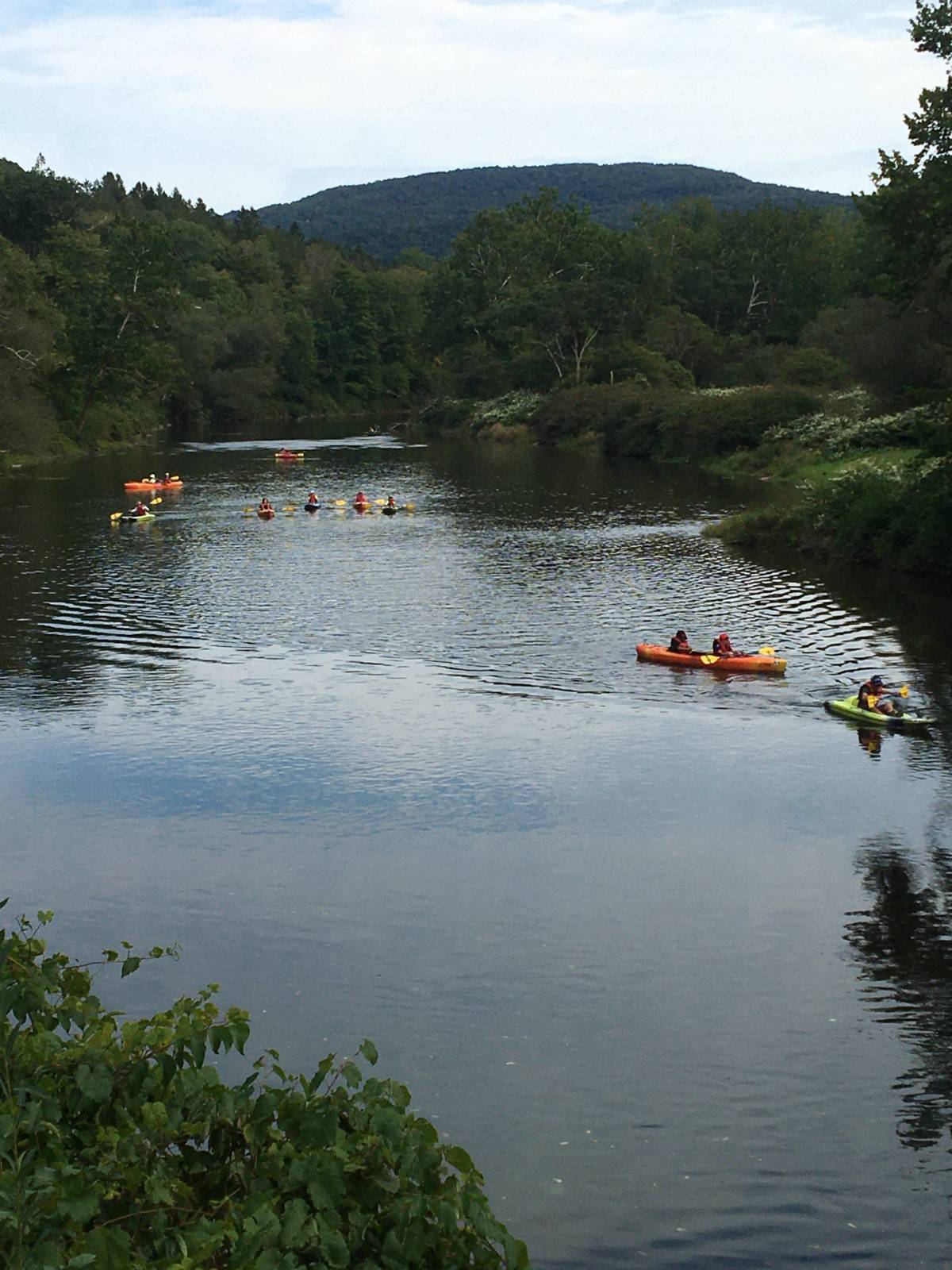 #36 photo, 6964 River Road, Downsville , NY 13755