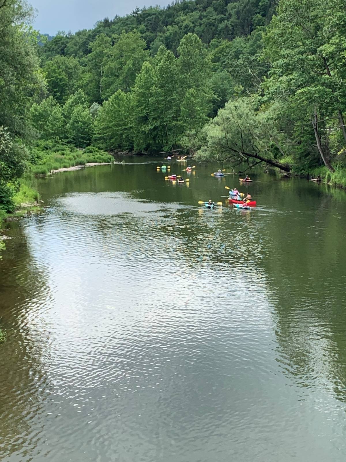 #38 photo, 6964 River Road, Downsville , NY 13755