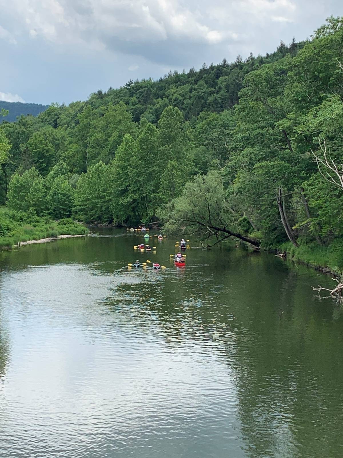 #39 photo, 6964 River Road, Downsville , NY 13755