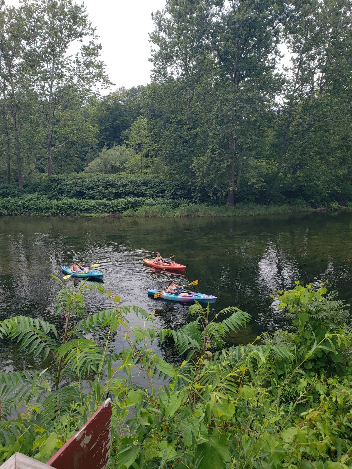 #52 photo, 6964 River Road, Downsville , NY 13755