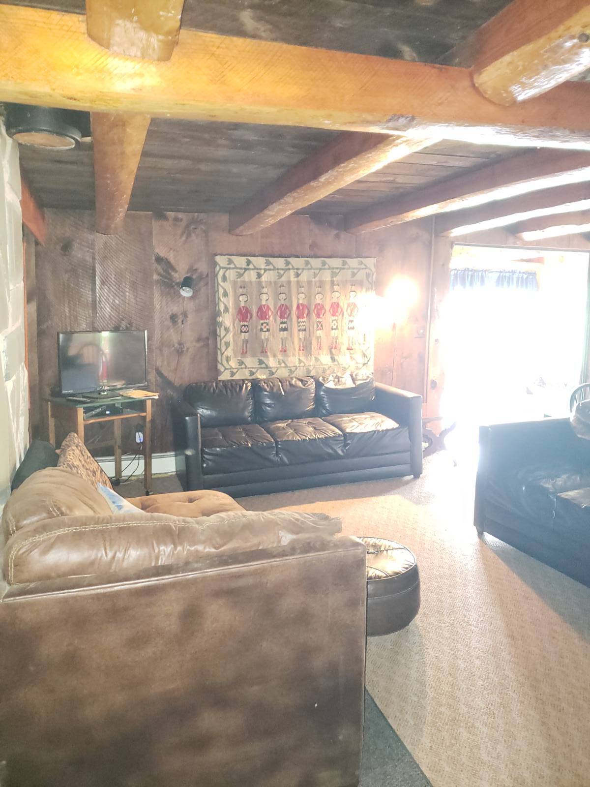 #56 photo, 6964 River Road, Downsville , NY 13755