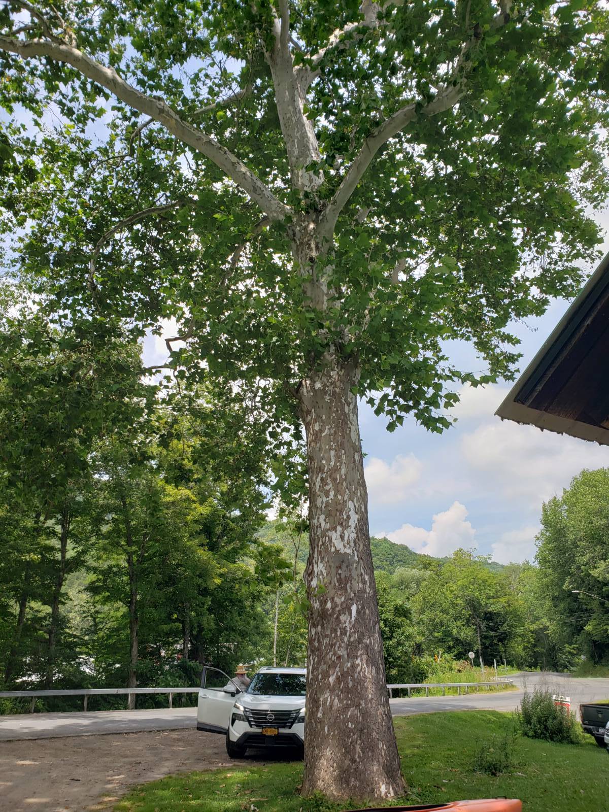 #78 photo, 6964 River Road, Downsville , NY 13755