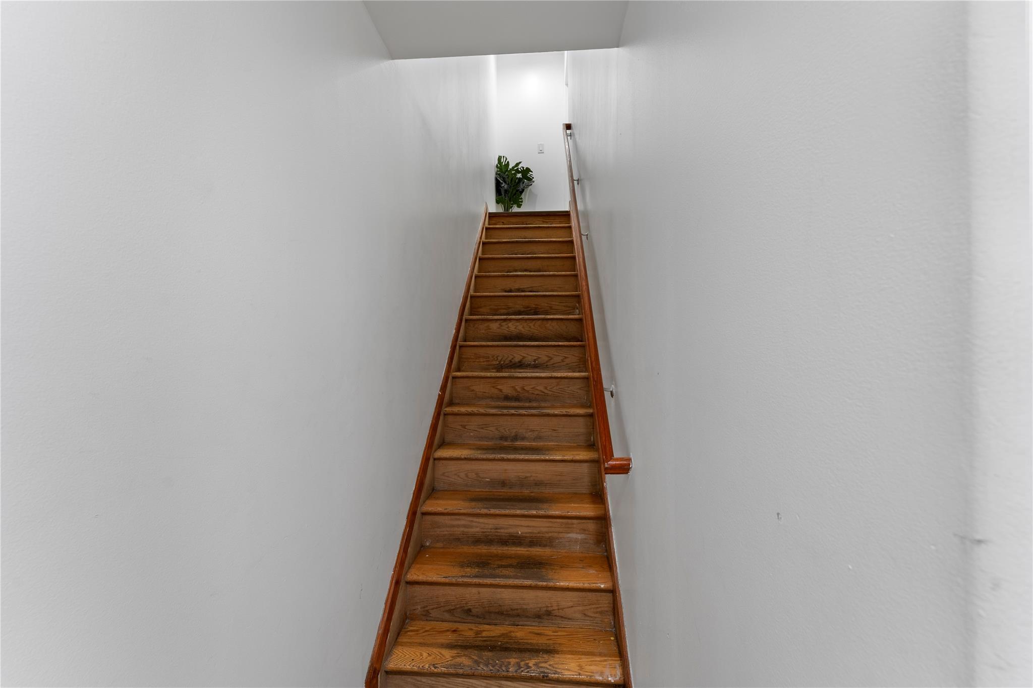 #10 photo, 848 Morris Park Avenue, ブロンクス区 Bronx , NY 10462