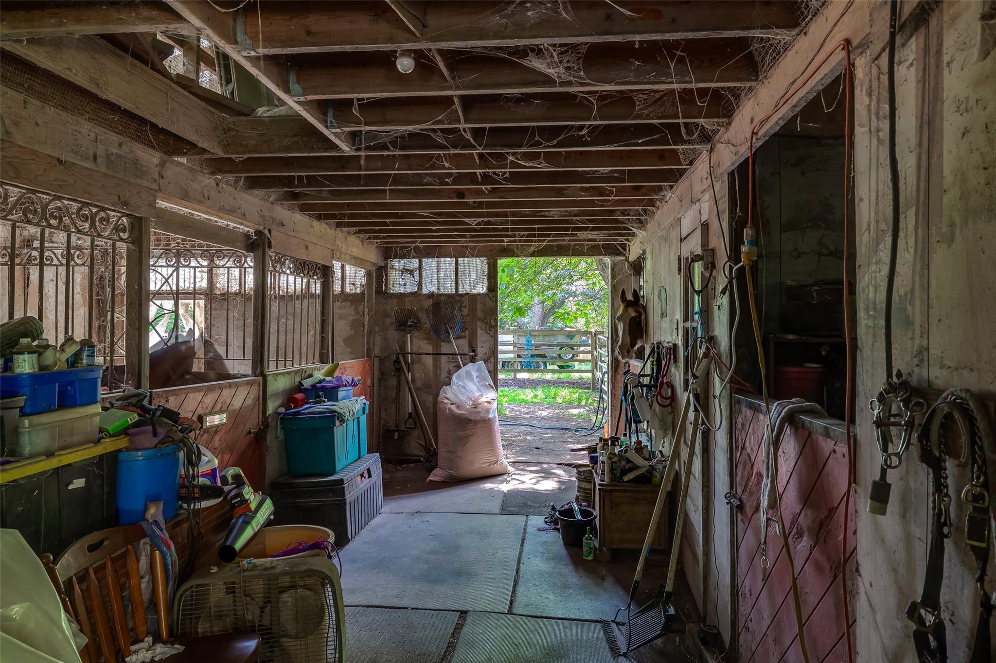 #2 photo, 33 N Coleman Road, 東長島 Centereach , NY 11720