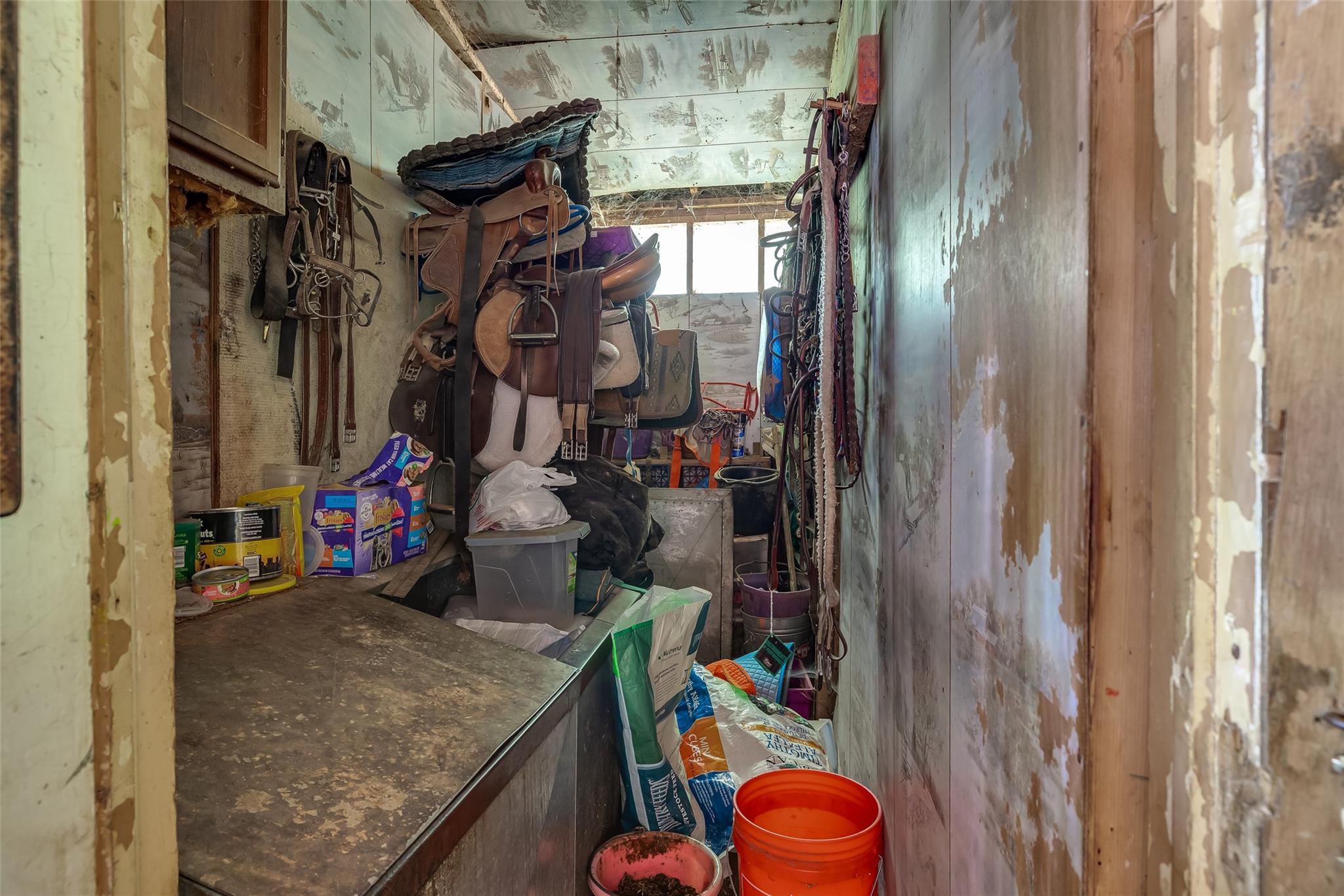 #4 photo, 33 N Coleman Road, 東長島 Centereach , NY 11720