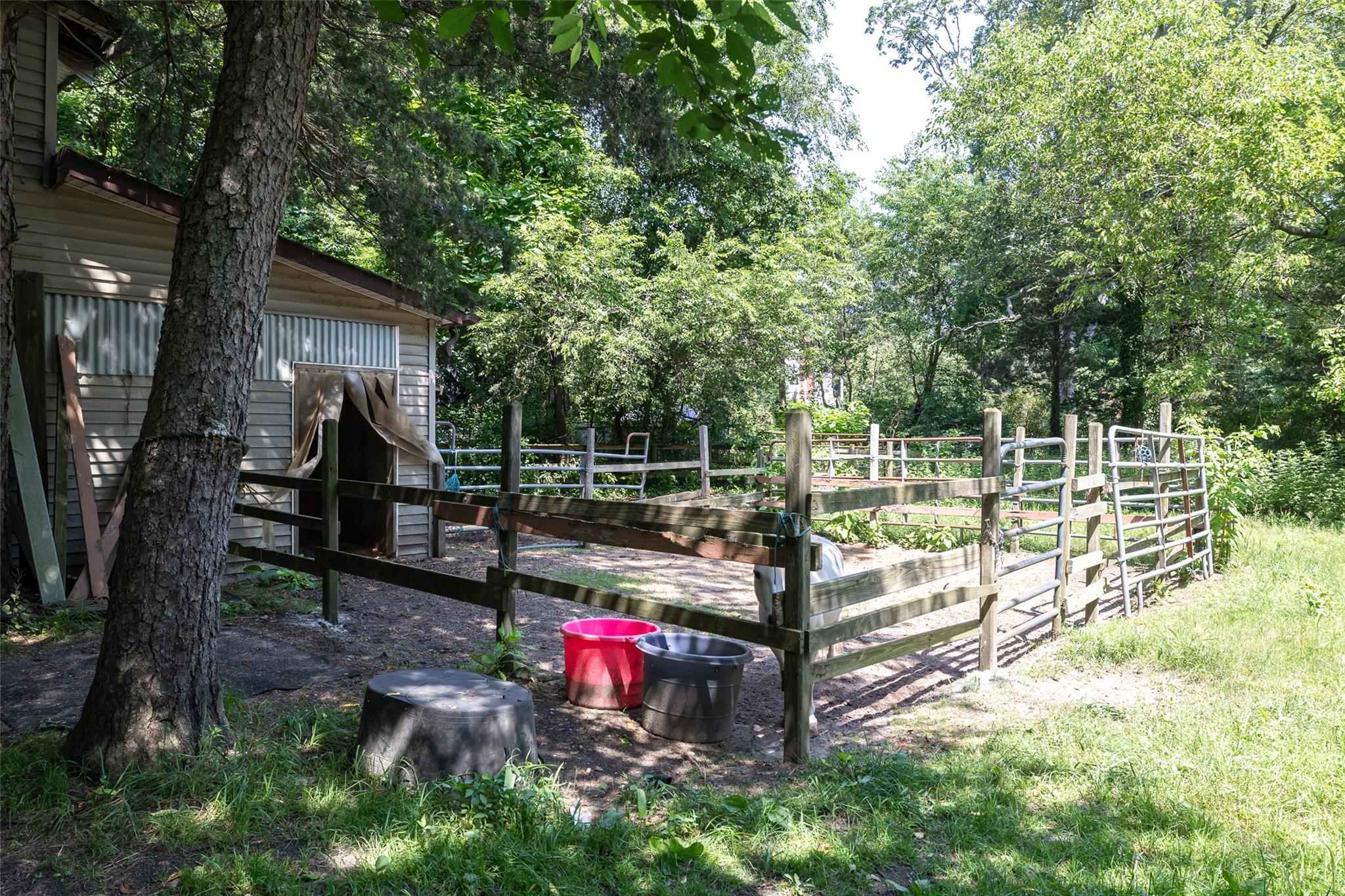 #5 photo, 33 N Coleman Road, 東長島 Centereach , NY 11720