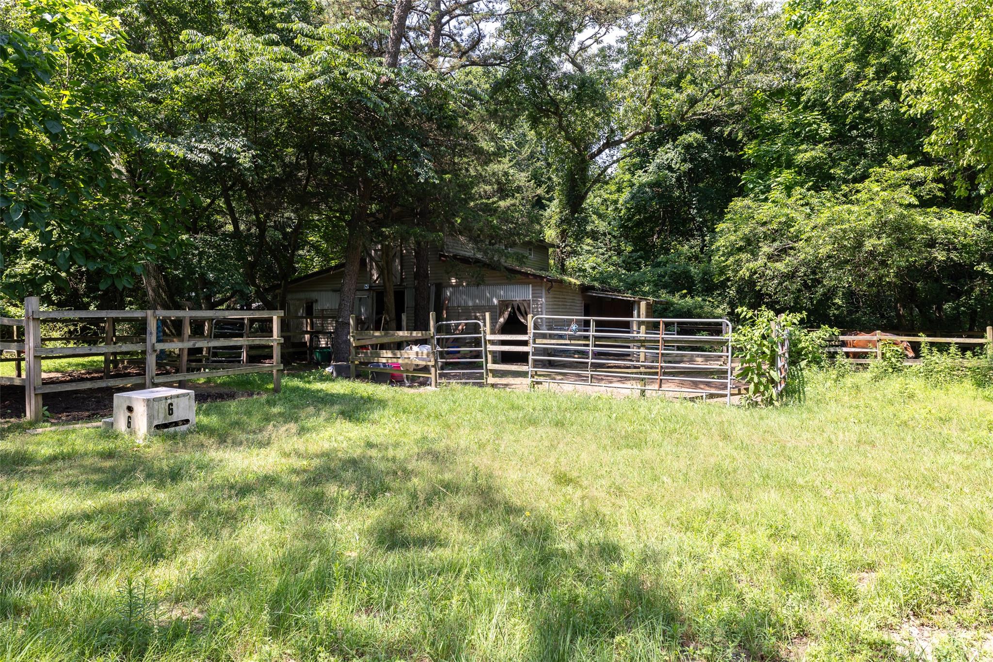 #6 photo, 33 N Coleman Road, 東長島 Centereach , NY 11720