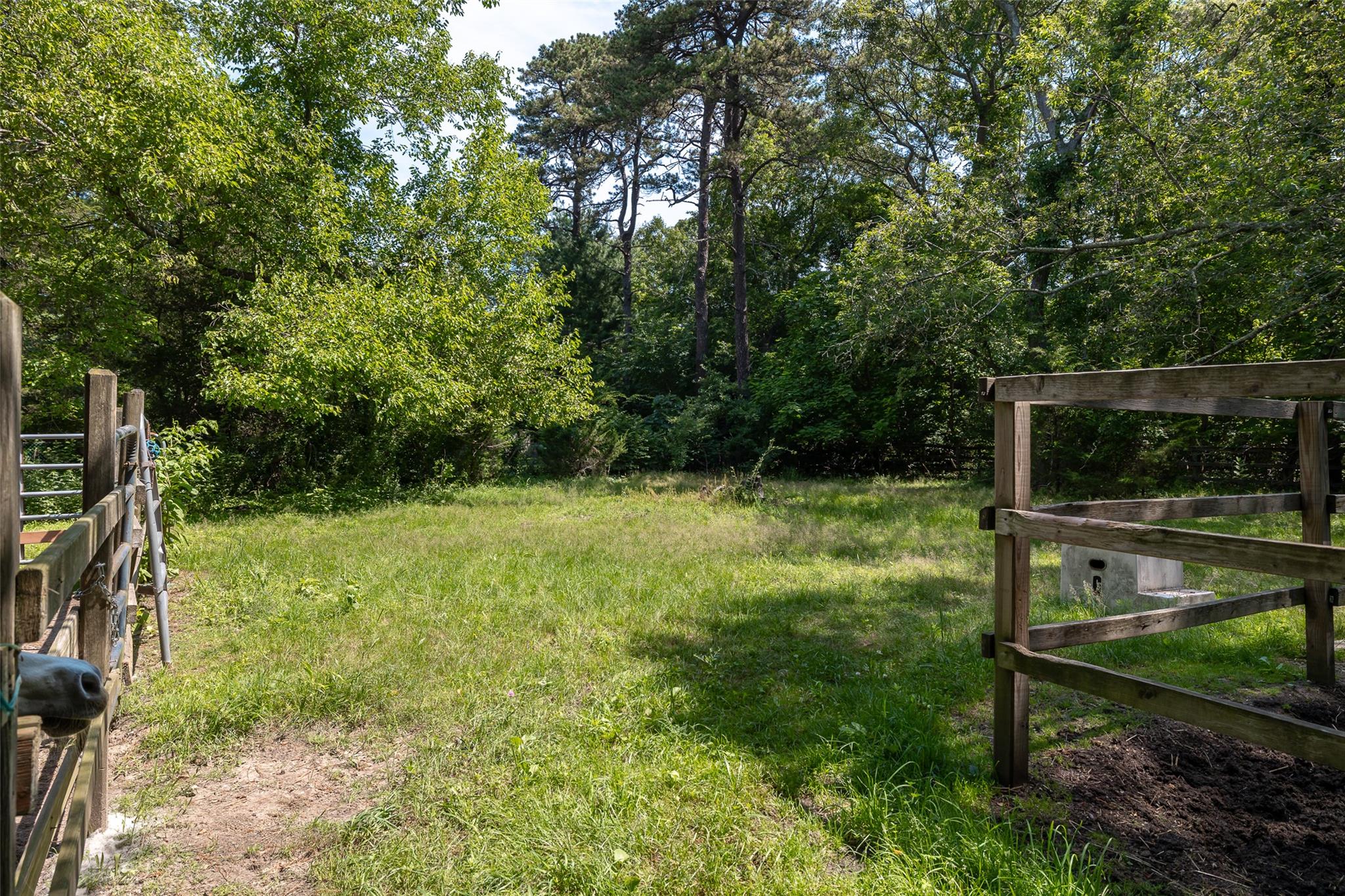 #8 photo, 33 N Coleman Road, 東長島 Centereach , NY 11720